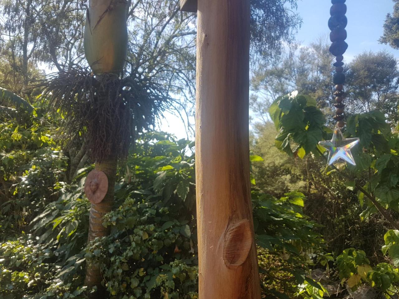 Chalet Karaka Takaka Εξωτερικό φωτογραφία